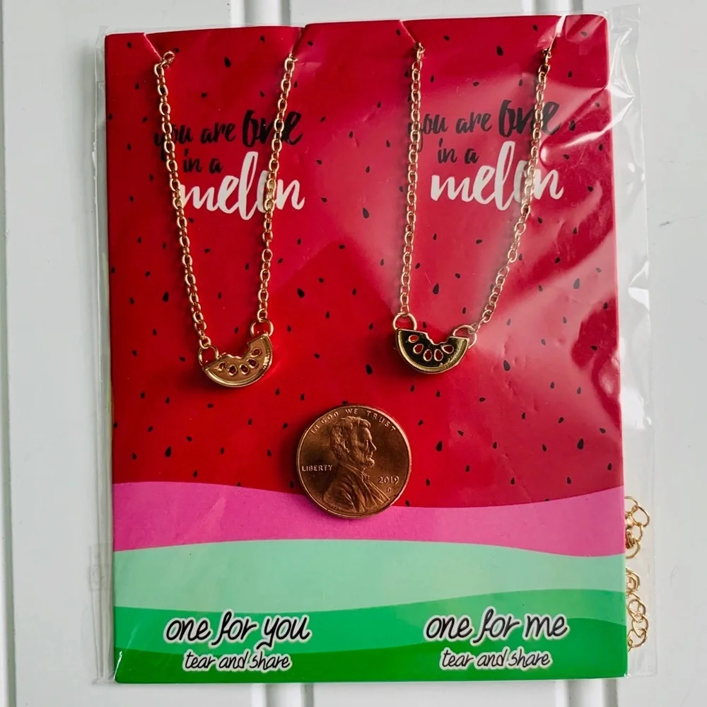 Best Friend Birthday Gift Friendship Necklaces You are one in a melon NWT